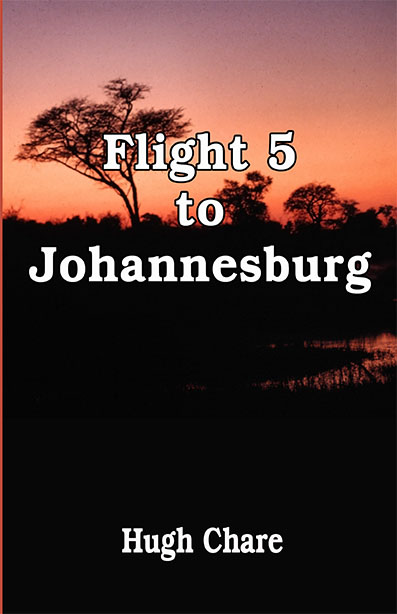 Flight 5 to Johannesburg icon
